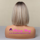 New Silver Blonde Short Lace Front Wig - Shiny Way Wigs Sydney NSW